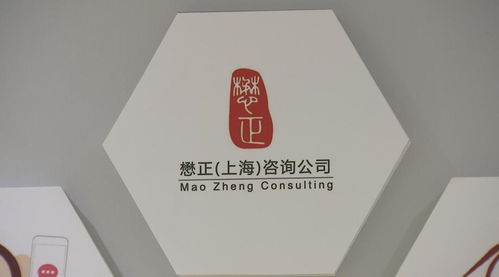 從公職到創(chuàng)業(yè) 崇明青年的無邊風(fēng)景與技術(shù)咨詢夢(mèng)